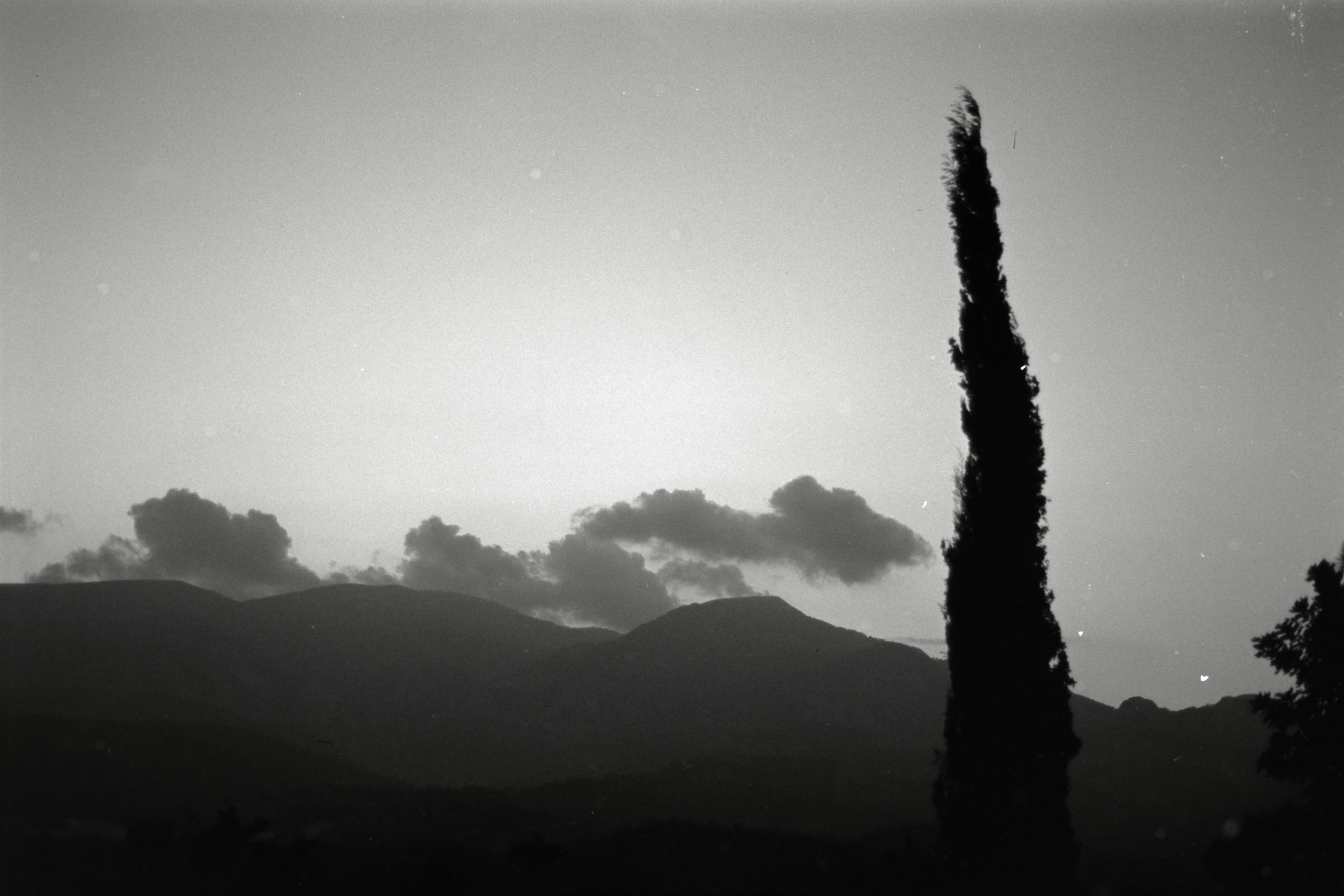 AHP F1991 09 001 sc250507 img31 NLP